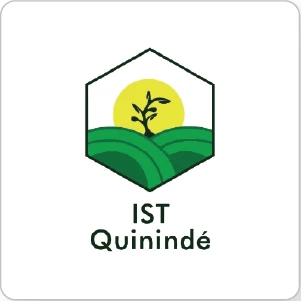 IST QUININDE